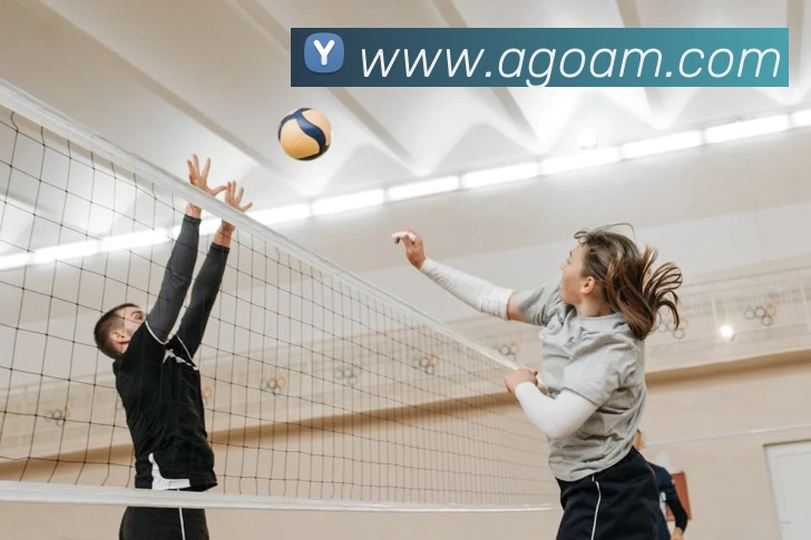 ag官网发展历程